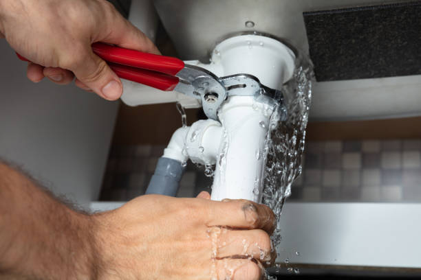 Best Local water damage restoration  in Manila, AR