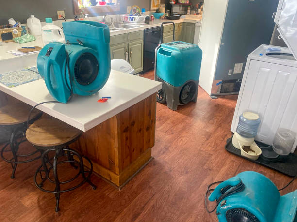 Best 24-hour water damage restoration  in Manila, AR