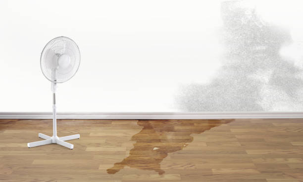 Best Flood restoration services  in Manila, AR