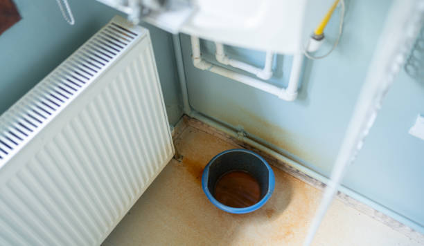 Best Basement water damage restoration  in Manila, AR