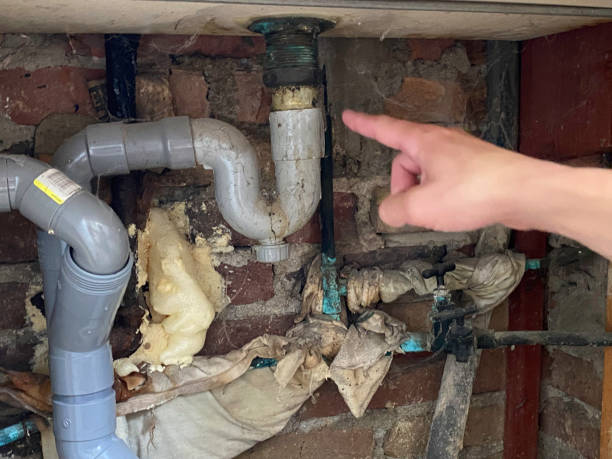 Best Water damage restoration services  in Manila, AR